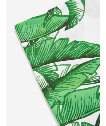 Dolce & Gabbana Baby Boys Banana Leaf T-Shirt in Green À commander