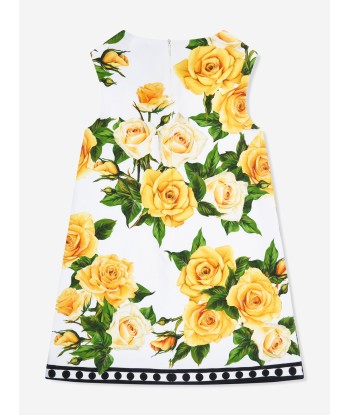 Dolce & Gabbana Girls Rose Print Sleeveless Dress in Multicolour votre restaurant rapide dans 