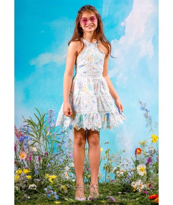 Marlo Girls Azure Embroidered Dress in Multicolour Amélioration de cerveau avec