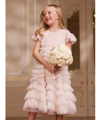 Needle & Thread Girls Wild Rose Ruffle Dress in Ivory acheter