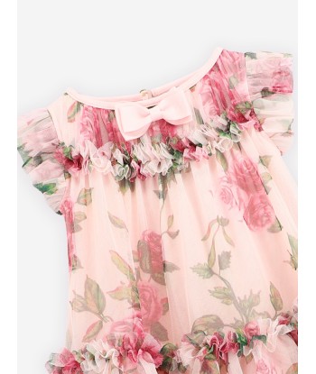 Angels Face Baby Girls Roses Tulle Dress in Pink de France