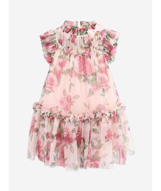 Angels Face Girls Marigold Roses Tulle Dress in Pink la colonne vertébrale