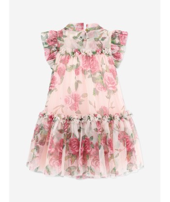 Angels Face Girls Marigold Roses Tulle Dress in Pink la colonne vertébrale