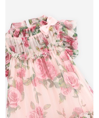 Angels Face Girls Marigold Roses Tulle Dress in Pink la colonne vertébrale