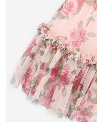 Angels Face Girls Marigold Roses Tulle Dress in Pink la colonne vertébrale