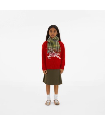 Burberry Kids Cashmere Heritage Scarf in Green JUSQU'A -70%! 