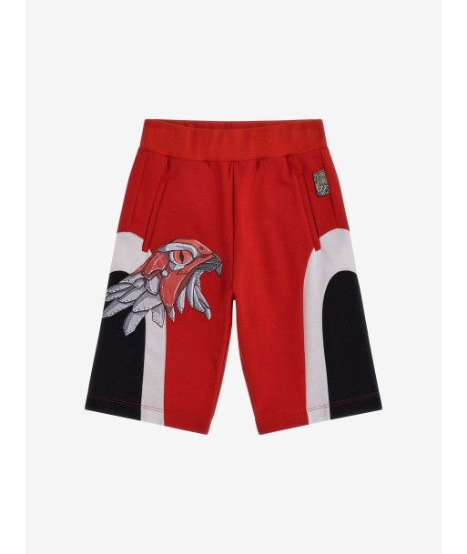 Roberto Cavalli Boys Eagle Shorts in Red les ctes