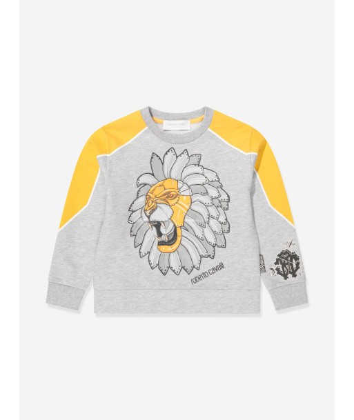 Roberto Cavalli Boys Lion Sweatshirt in Grey Economisez 