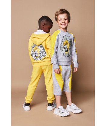 Roberto Cavalli Boys Lion Sweatshirt in Grey Economisez 