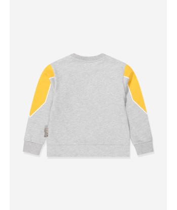 Roberto Cavalli Boys Lion Sweatshirt in Grey Economisez 